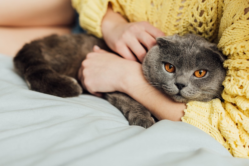 5 tendências do mercado pet para se atualizar