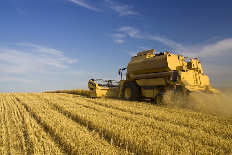 A importância da cidade de Luís Eduardo Magalhães para o agronegócio