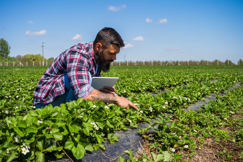 Qual a importância da formação técnica para agricultura?