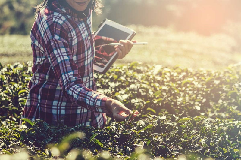 Confira as tendências da engenharia agrícola para 2023 