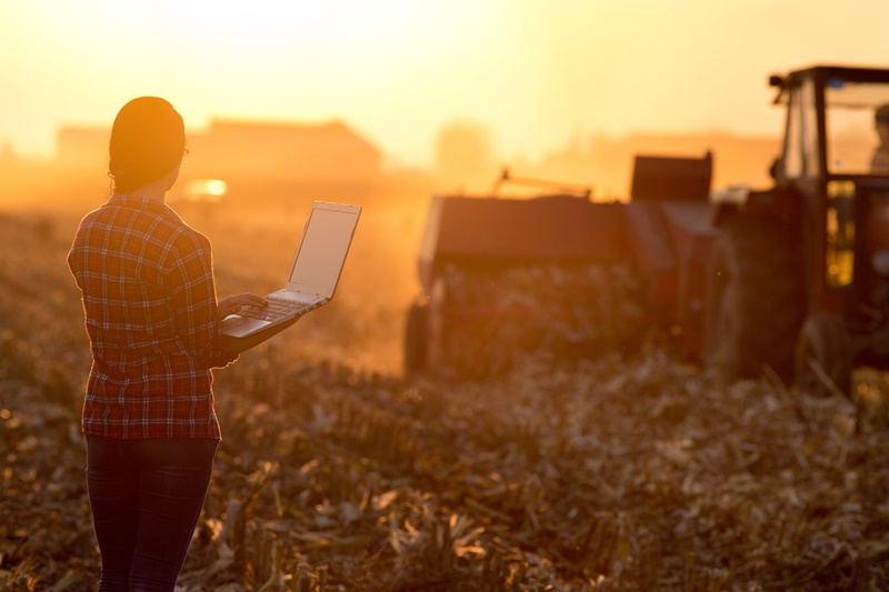 O que considerar ao optar por uma formação técnica em agricultura?