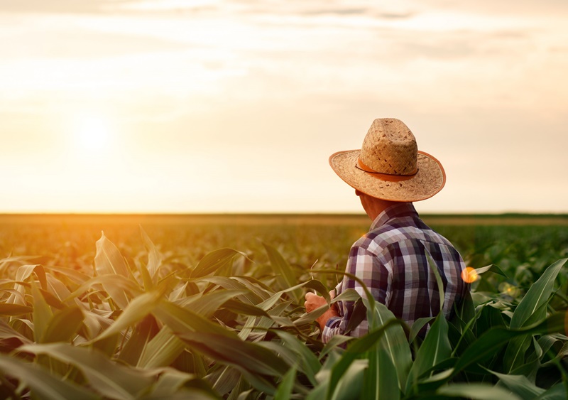 Conheça as maiores evoluções agrícolas de 2022