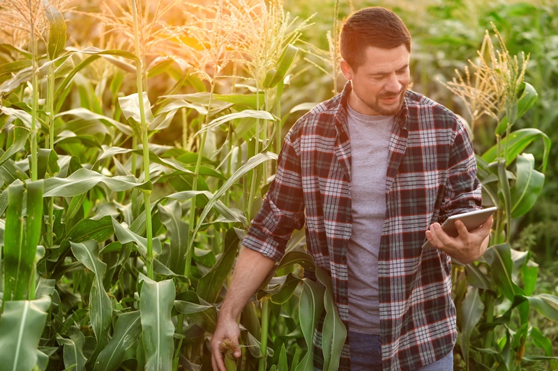 Afinal, em quais áreas um técnico agrícola pode trabalhar?