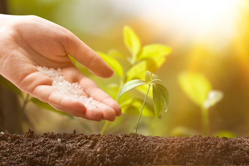 Nutrição inteligente: o que são fertilizantes naturais?