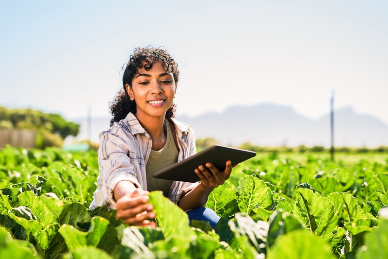 4 passos para trabalhar a sustentabilidade na agricultura