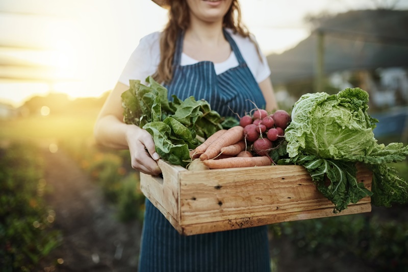 5 curiosidades sobre a alimentação natural